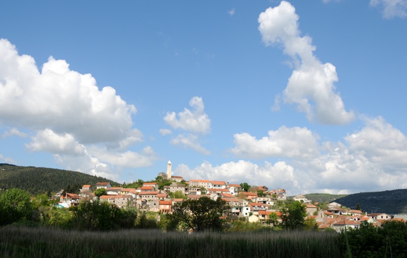 Cvjetnica (46)